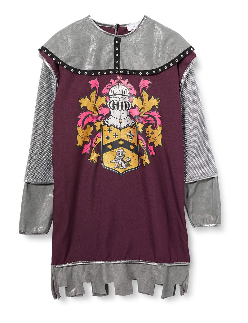 Fun World mens Costumes Noble Knight adult sized costumes, Multicolored, X-Large US - Image 1