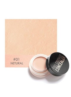 Full Coverage Concealer Dark Circles Creamy Spot Acne Correcting Concealer(#1)