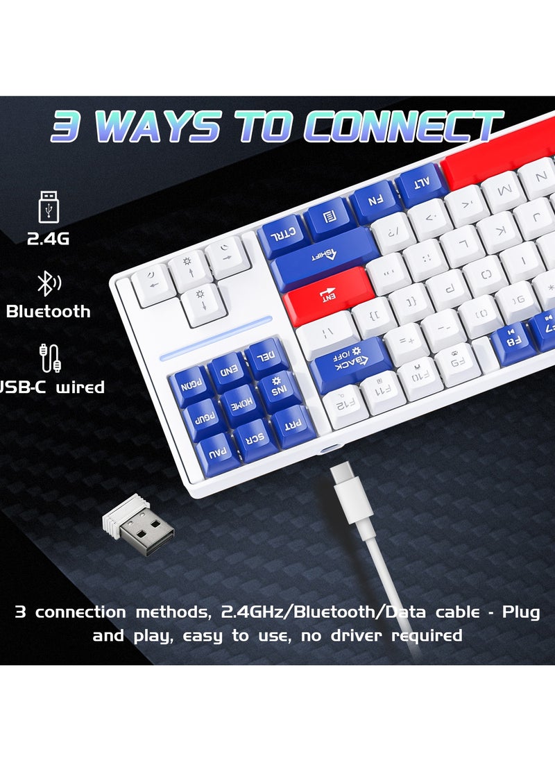 INFOSUN 87 Keys Mechanical Keyboard - Hot Swap - Blue Switch - 2.4GHz/Bluetooth/Type-C Wired - Gaming Keyboard - Office Keyboard - RGB Lighting Effect - Computer Keyboard(Blue)  - Image 3