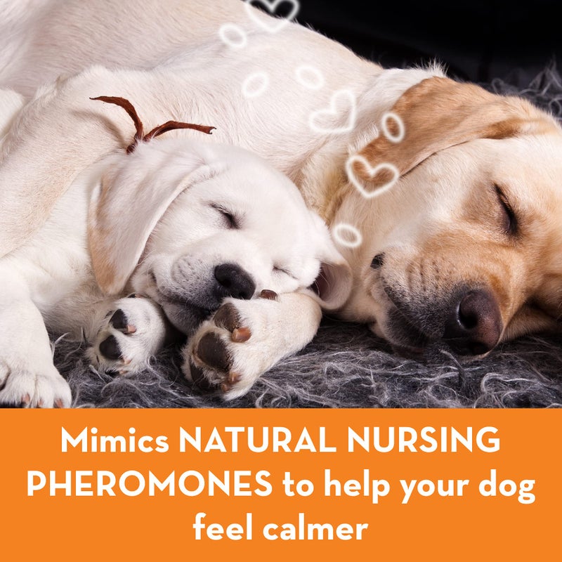 ThunderEase Dog Calming Pheromone Diffuser Refill | Powered by ADAPTIL | Vet Recommended to Relieve Separation Anxiety, Stress Barking and Chewing, and The Fear of Fireworks and Thunderstorms (60 Day - Image 4