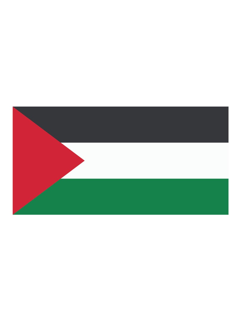 دروبلايت - راية علم فلسطين / قماش مطبوع علم فقط بدون إطار 120 سم × 60 سم - Image 1