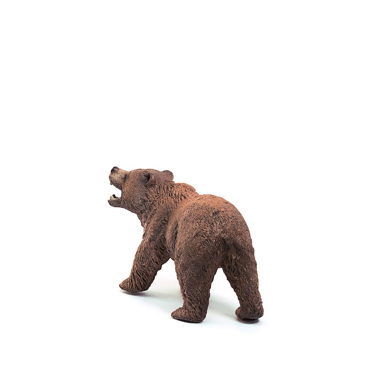 Schleich Wild Life Realistic Grizzly Bear Figurine HandPainted and Detailed Animal Figure for Kids Perfect Toy for Fun and Imaginative Adventures Gift for Boys and Girls Ages 3 26 inch - Image 5
