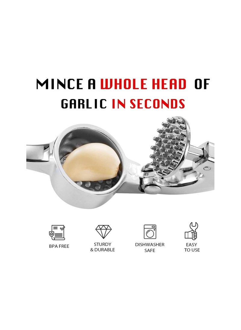BEAUTY AMBITION Stainless Steel Kitchen Tool Gadget Ginger Garlic Press Nut Cracker Crusher, silver, LZM009, Garlic Presses  - Image 2