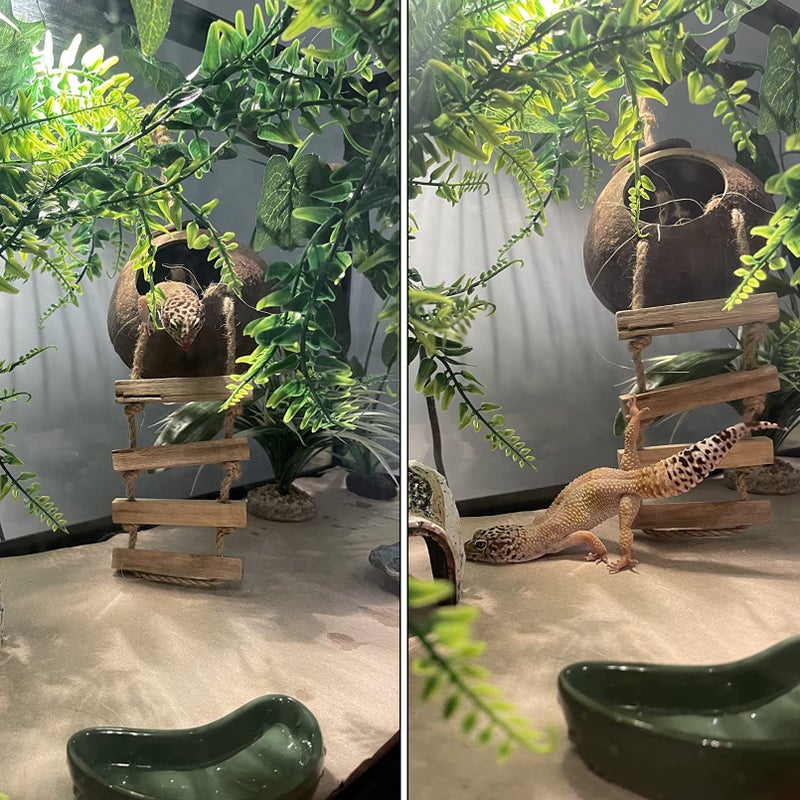 MUYG Lizard Coco Den with Ladder,Leopard Gecko Coconut Husk Hut Hideout Home Reptile Hammock Climbing Hanging Plants Decor Habitat Tank Accessories for Bearded Dragon Snake Chameleon - Image 2
