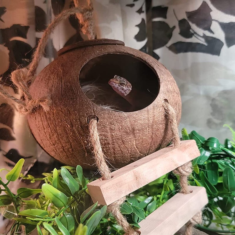 MUYG Lizard Coco Den with Ladder,Leopard Gecko Coconut Husk Hut Hideout Home Reptile Hammock Climbing Hanging Plants Decor Habitat Tank Accessories for Bearded Dragon Snake Chameleon - Image 3