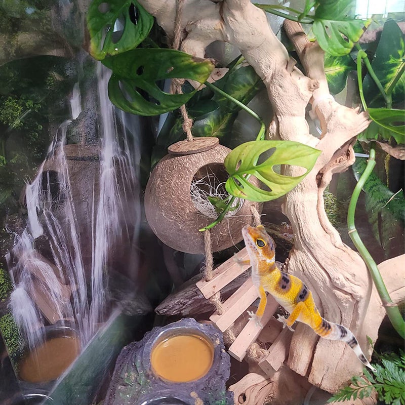 MUYG Lizard Coco Den with Ladder,Leopard Gecko Coconut Husk Hut Hideout Home Reptile Hammock Climbing Hanging Plants Decor Habitat Tank Accessories for Bearded Dragon Snake Chameleon - Image 4