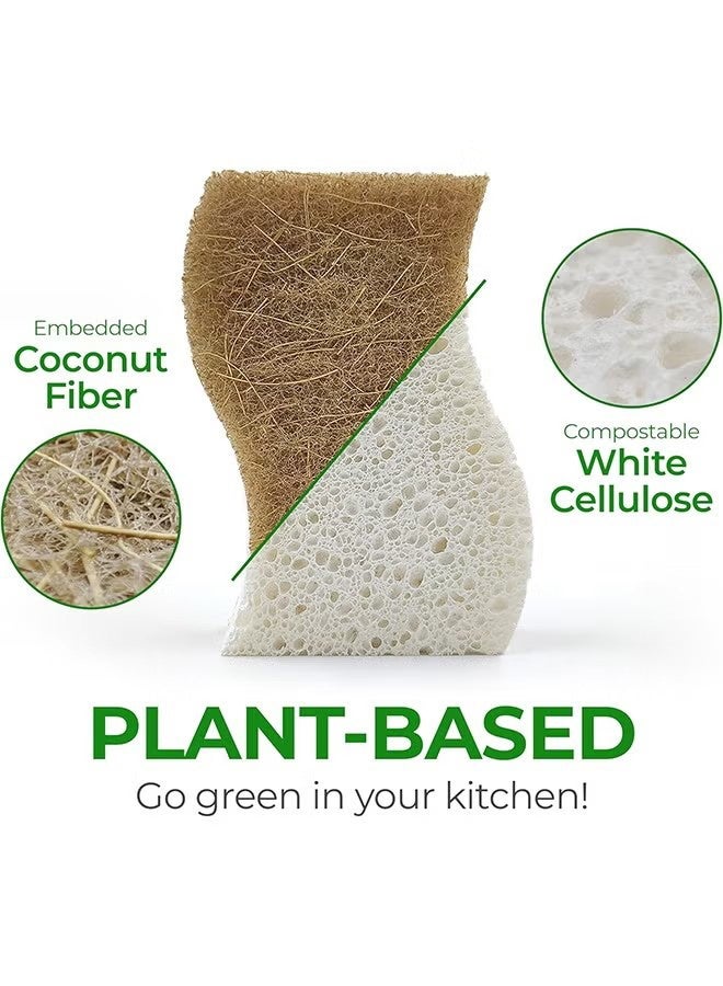 YJ Natural Kitchen Sponge - Biodegradable Compostable Cellulose and Coconut Scrubber Sponge - Pack of 6 Eco Friendly Sponges for Dishes - Image 2