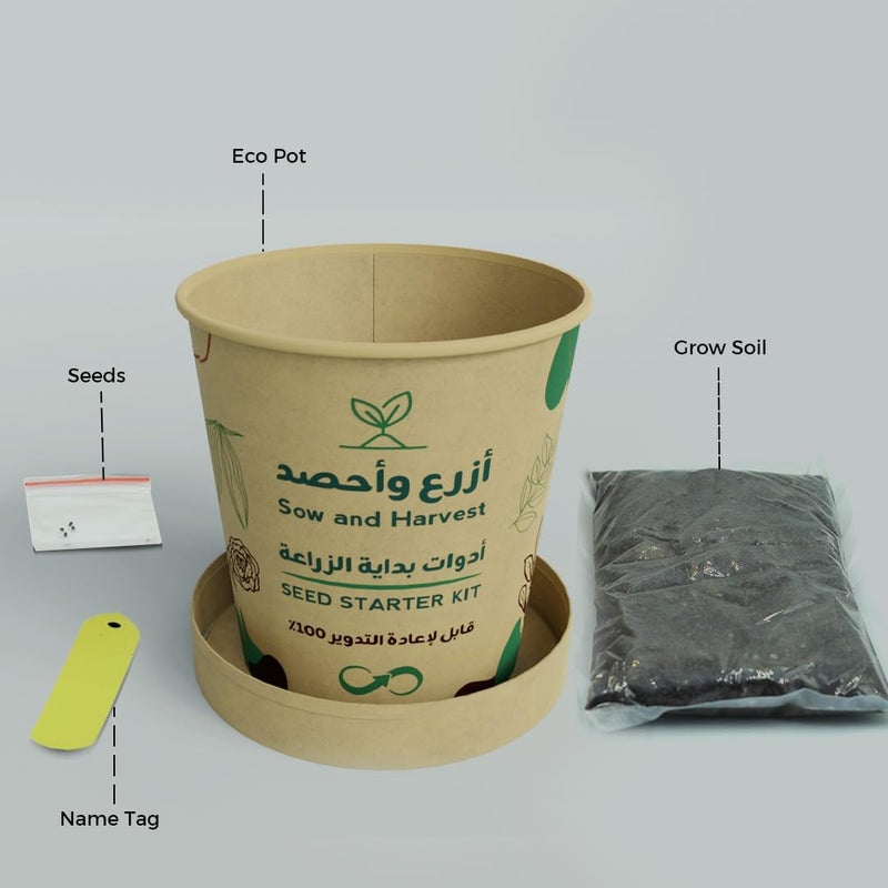 بذرات زراعة وحصاد - أدوات زراعية في كوب مع تربة وبذور - للزراعة المنزلية، مناسبة للمدارس والتوزيعات التجارية - مصنوعة من مواد معاد تدويرها - Image 5