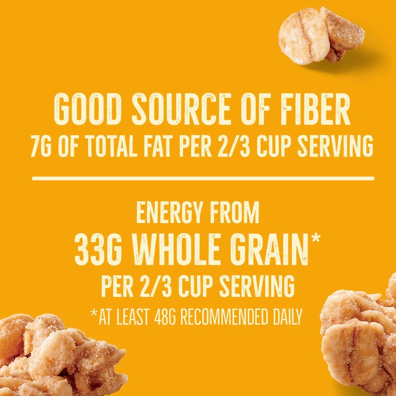 Nature Valley جرانولا بروتين ناتشر فالي، جرانولا الشوفان والعسل، كيس وجبات خفيفة قابل لإعادة الإغلاق، حجم عائلي، 17 أونصة - Image 5