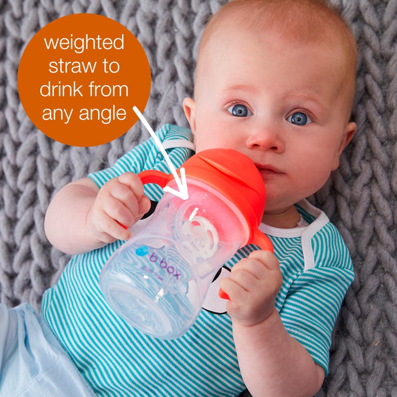 b.box Sippy Cup with Weighted Straw. Drink from any Angle, Leak Proof, Spill Proof, Easy Grip. BPA Free, Dishwasher Safe. For Babies 6m+ to Toddlers (Tutti Fruitti, 8oz) - Image 4