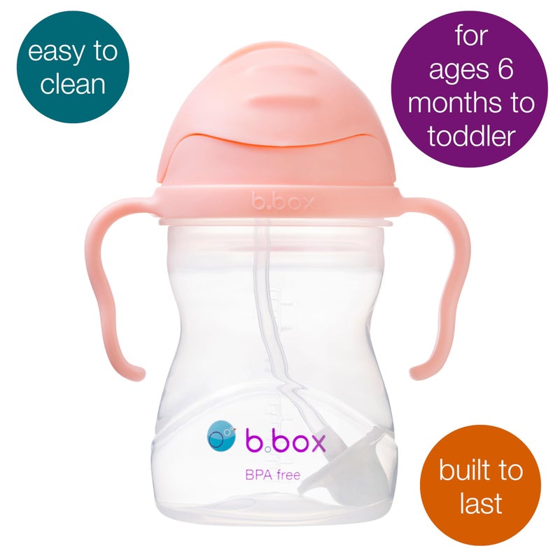 b.box Sippy Cup with Weighted Straw. Drink from any Angle, Leak Proof, Spill Proof, Easy Grip. BPA Free, Dishwasher Safe. For Babies 6m+ to Toddlers (Tutti Fruitti, 8oz) - Image 3