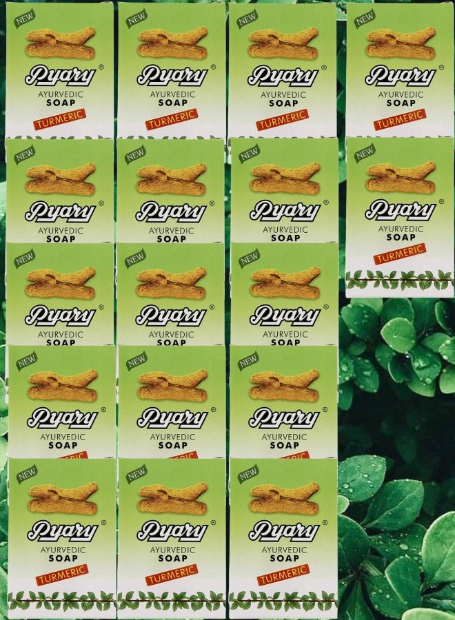 بياري 17 قطع صابون آيورفيدي كركم