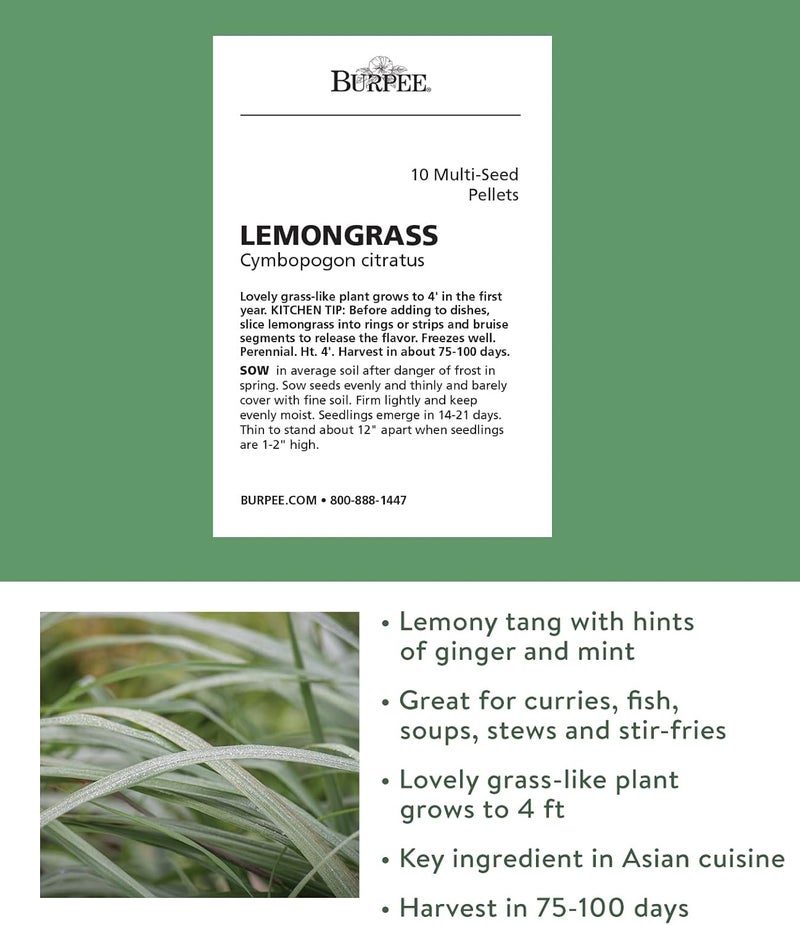 Burpee Lemongrass Cymbopogon Citratus 10 Multi Pellets Per Package  NonGMO Planting Seeds  Easy to Grow Culinary Herb  Bright Citrusy Flavor - Image 2