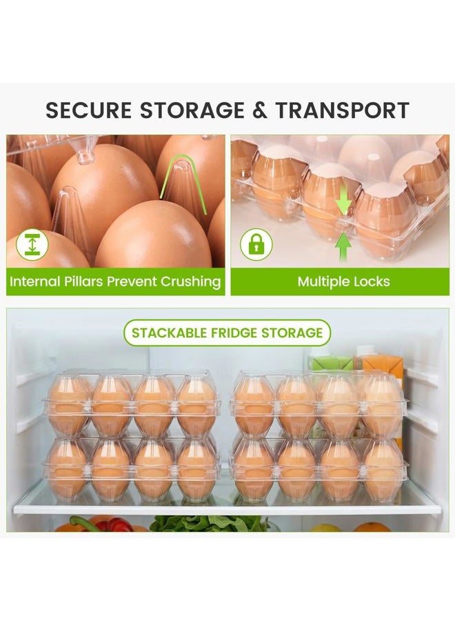 LoveInUSA 100PCS Clear Egg Cartons, Plastic Egg Holders Egg Cartons Cheap Bulk for Ranch Chicken Farm Market Display 12-cavity - Image 3