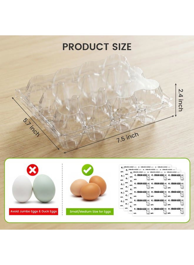LoveInUSA 100PCS Clear Egg Cartons, Plastic Egg Holders Egg Cartons Cheap Bulk for Ranch Chicken Farm Market Display 12-cavity - Image 2