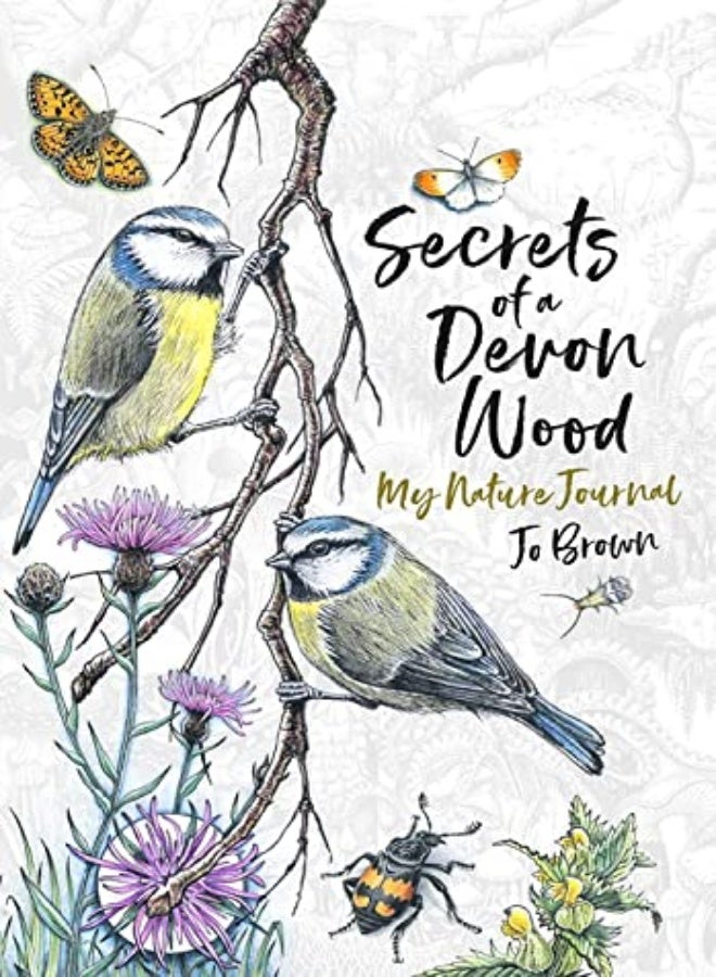 Secrets of a Devon Wood: My Nature Journal 