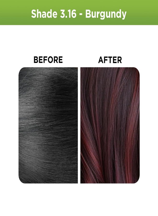 Revlon Color'n Care Nourishing Permanent Unisex Hair Color - 3.16 Burgundy - Image 2