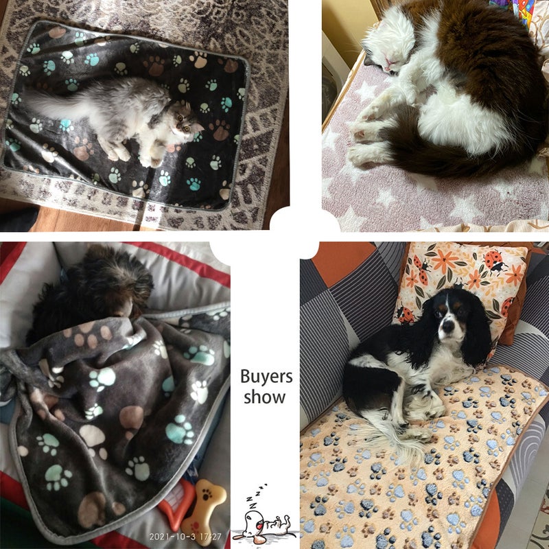 Selling Pet Blanket, Universal Blanket For All Seasons, Warm Sleeping Pad, Coral Velvet Paw Print Blanket, Cat And Dog Mat - Image 5