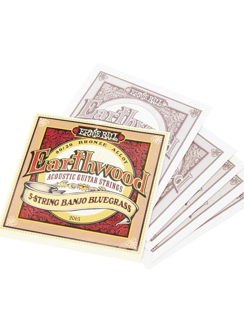 Ernie Ball Ernie Ball P02063 Earthwood 5-string Banjo 80/20 Bronze Loop End Bluegrass Set (09 - 20)  - Image 1