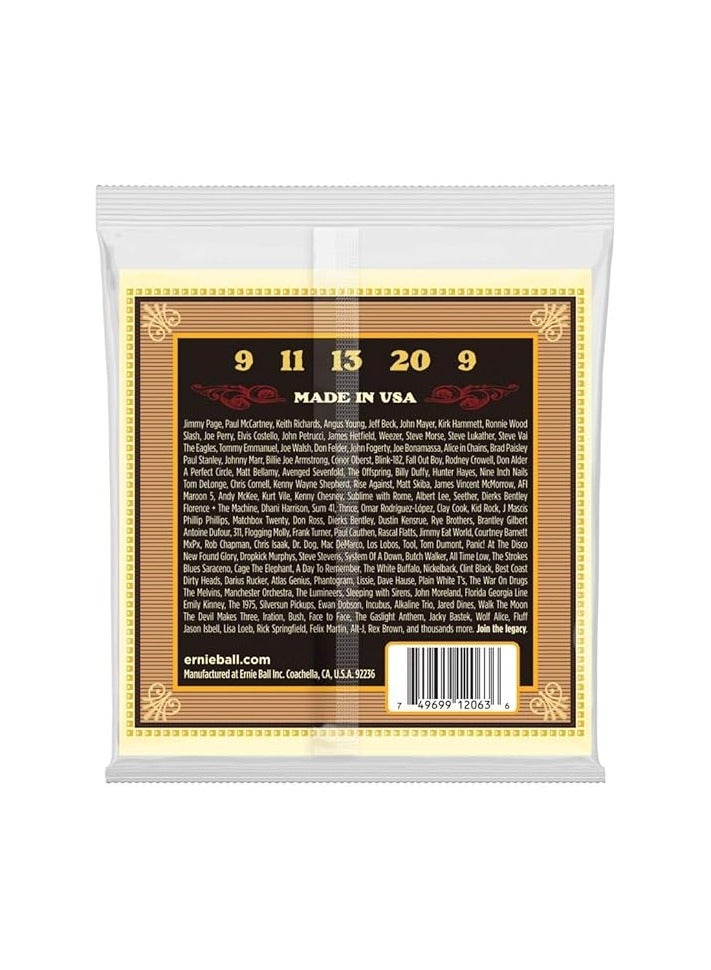 Ernie Ball Ernie Ball P02063 Earthwood 5-string Banjo 80/20 Bronze Loop End Bluegrass Set (09 - 20)  - Image 2