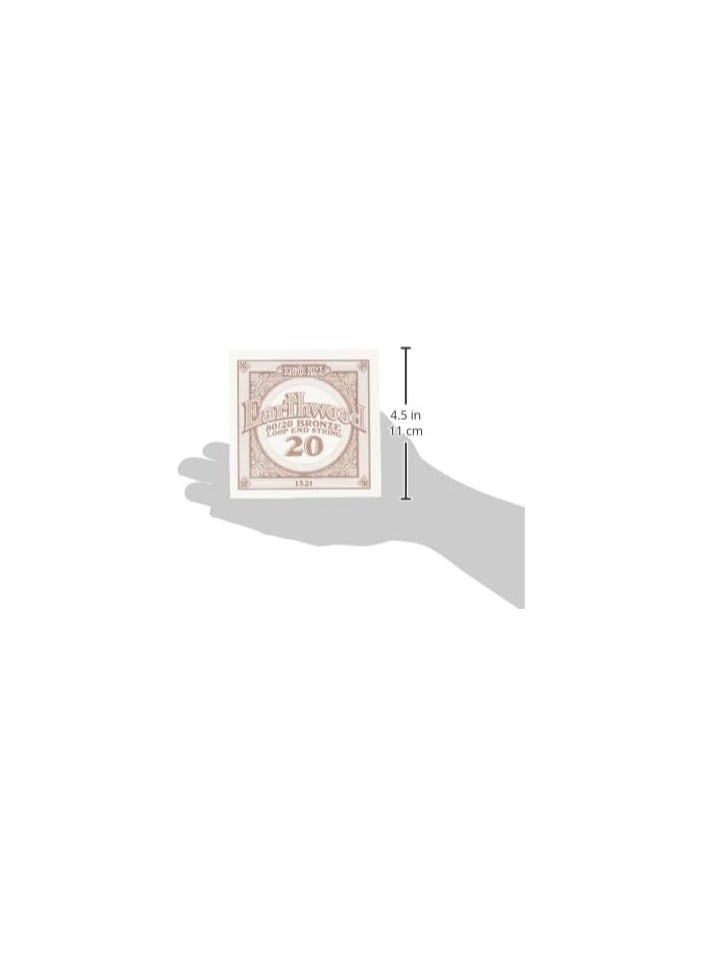 Ernie Ball Ernie Ball P02063 Earthwood 5-string Banjo 80/20 Bronze Loop End Bluegrass Set (09 - 20)  - Image 3