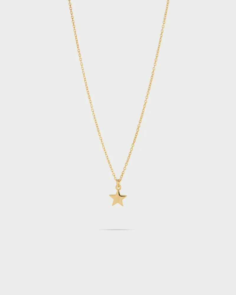 Rue Des Mill Choker With Central Rounded Subject - Star - Yellow gold