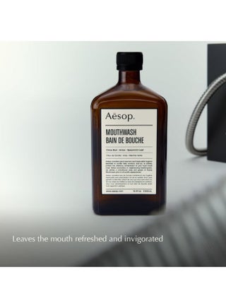 Alcohol-Free Mouthwash 500ml | Fresh Breath Oral Rinse with Botanical Ingredients - view 5