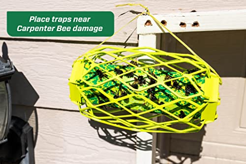 Rescue! Carpenter Bee TrapStik – Also Works on Wasps, Mud Daubers - 2 Traps - Image 3
