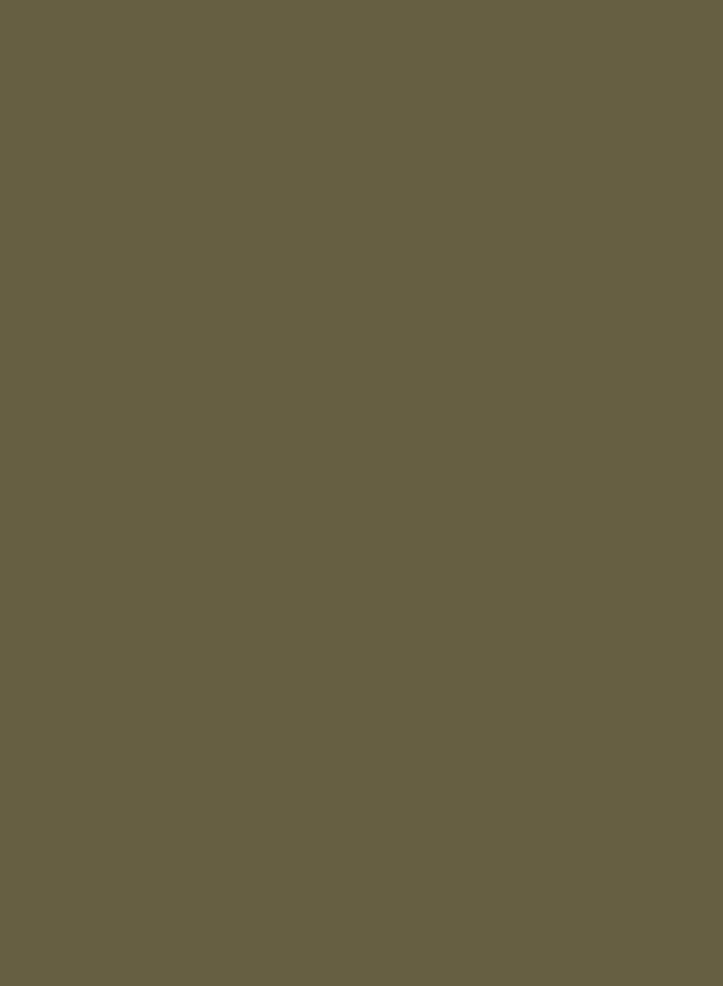 Vallejo Model Air 17 ml Acrylic Paint - Interior Green - Image 2
