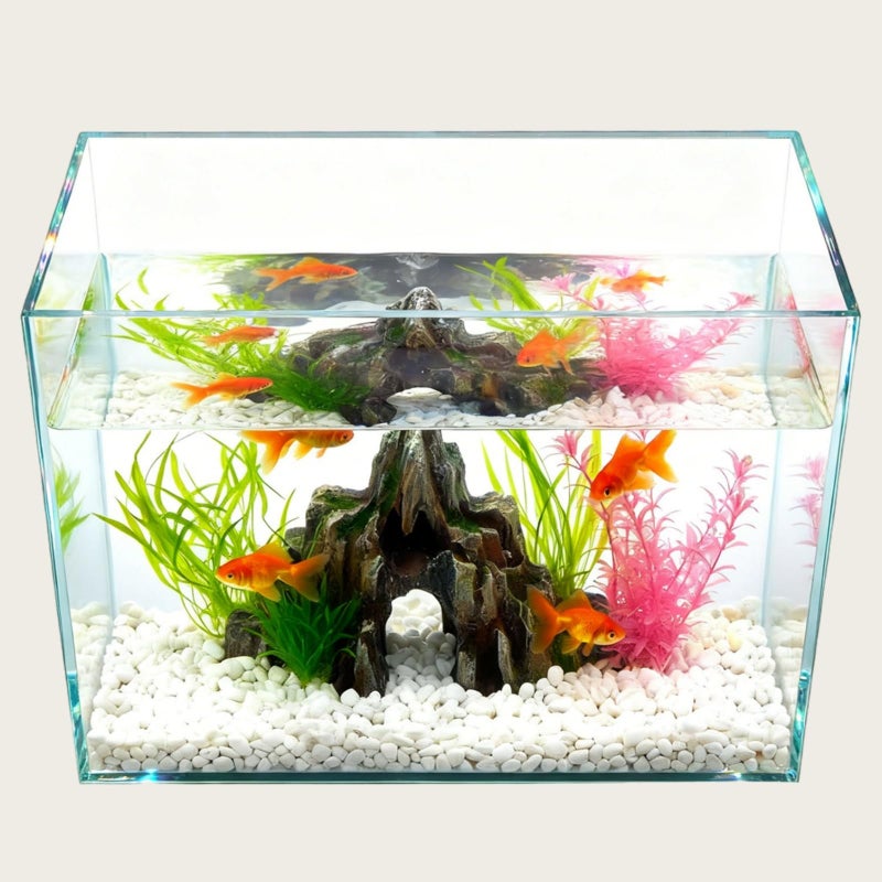 Tlence 3 Gallon Glass Fish Tank, Small Betta Fish Aquarium, Ultra Clear Rectangular Glass Bowl for Shrimp, Mini Desktop Aquatic Planting Cube for Goldfish Snails, Easy to Clean - Image 5