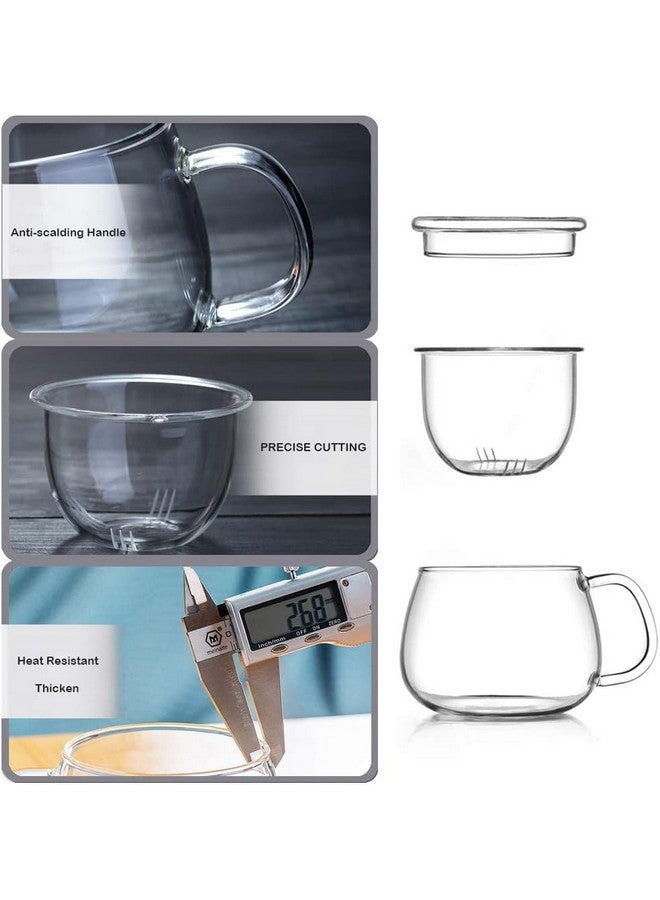 NILKANTH 13 Ounce Tea Cups Kits Loose Tea-Leaf Brewing System, Thickened Glass Cups with Tea Infuser Basket and Lid, Simple Filtration Teacups Great for Family Daily (Flat Lid) - Image 4