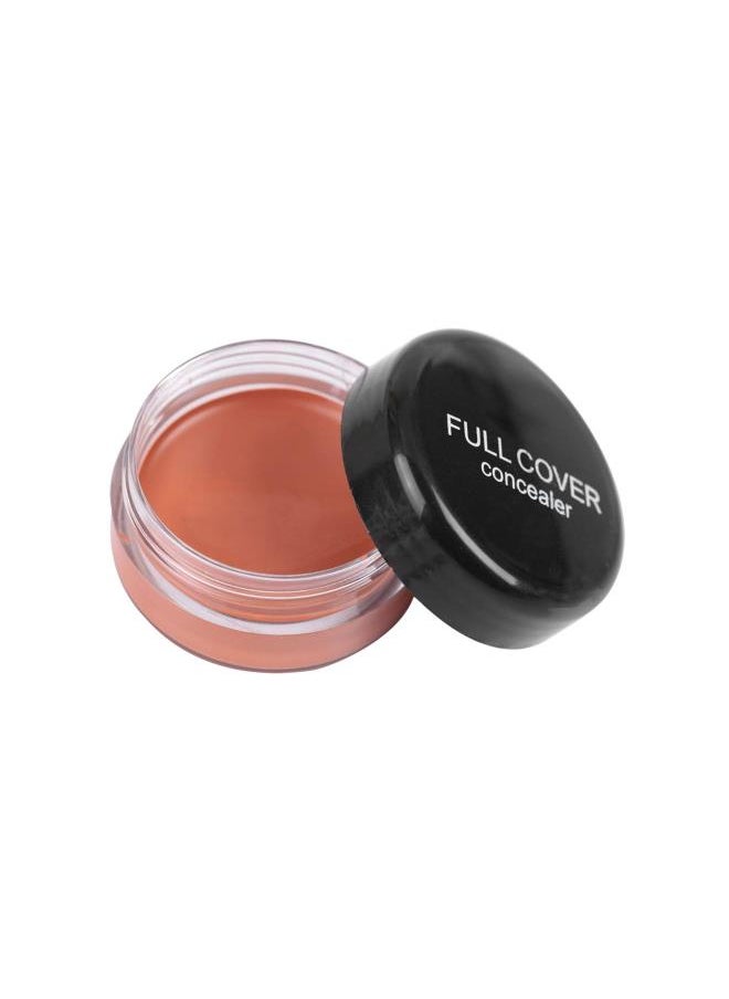 Generic - Popfeel Concealer Conceal Dark Circles Eye Bags Acne Marks Makeup (FC04) - Image 1