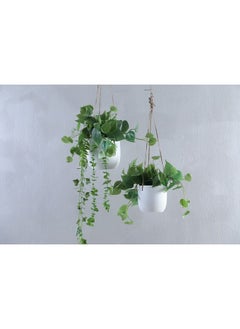 Mystiga Hanging Planter White 12cm