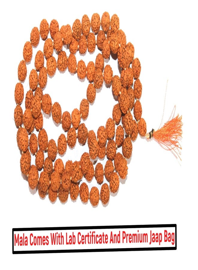 GRI9 Certified Rudraksh Mala with Japa Bag Gaumukhi, Natural Himalayan Genuine Original Rudraksha Rosary Garland Japa Mala, Religious Tibetan Rudraksha Mala Necklace Bracelet Yoga Meditation Bead 10MM - Image 3