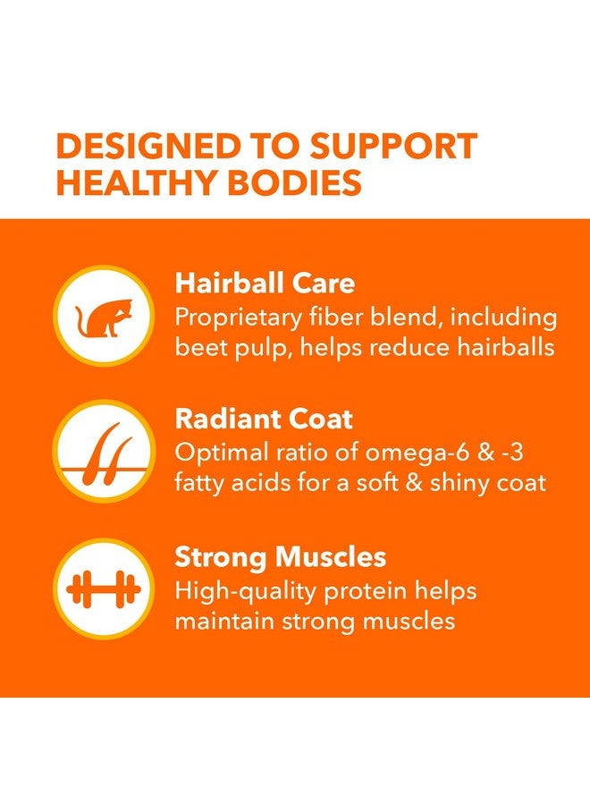 IAMS Proactive Health Long Hair Care Adult Dry Cat Food with Real Chicken & Salmon, 6 lb. Bag - Image 3