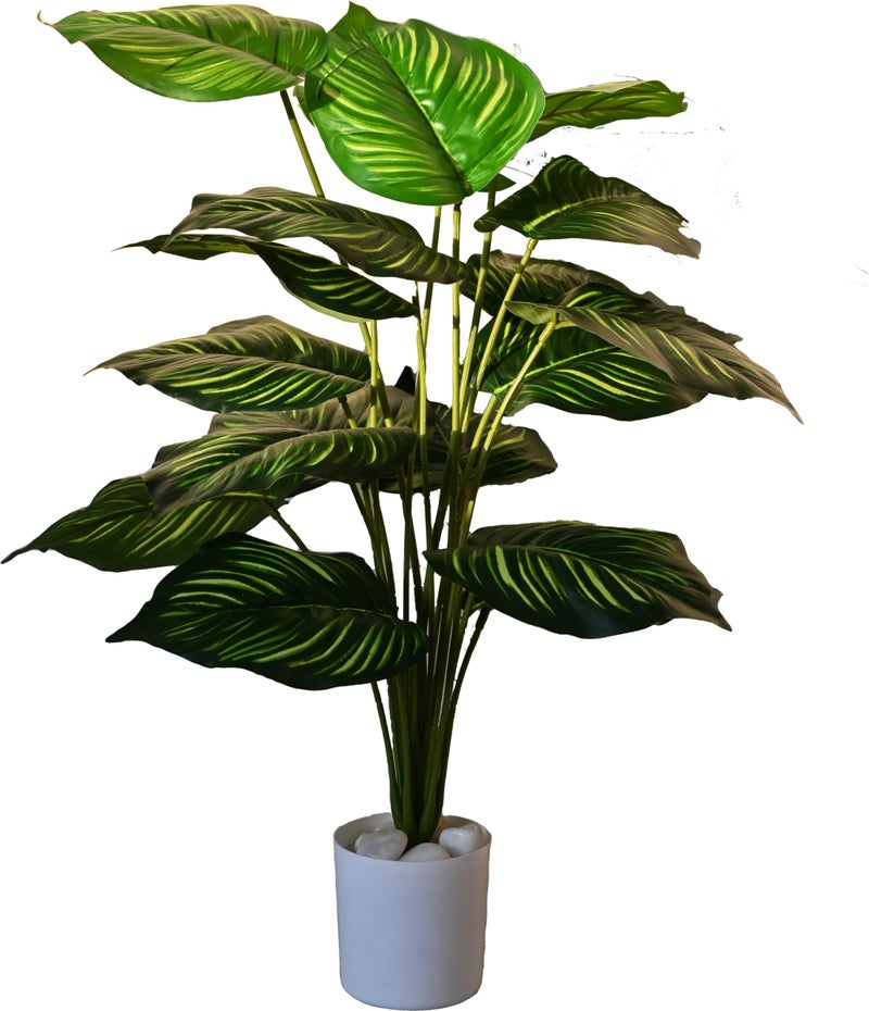 Blooming Floret Artificial Calathea Orbifolia Plant for Home Decor/Office Decor/Gifting | 63.5 cm Tall Ornamental Plant with Basic Black Pot |18 Leaves | Big Natural Looking Indoor Plant - Image 5