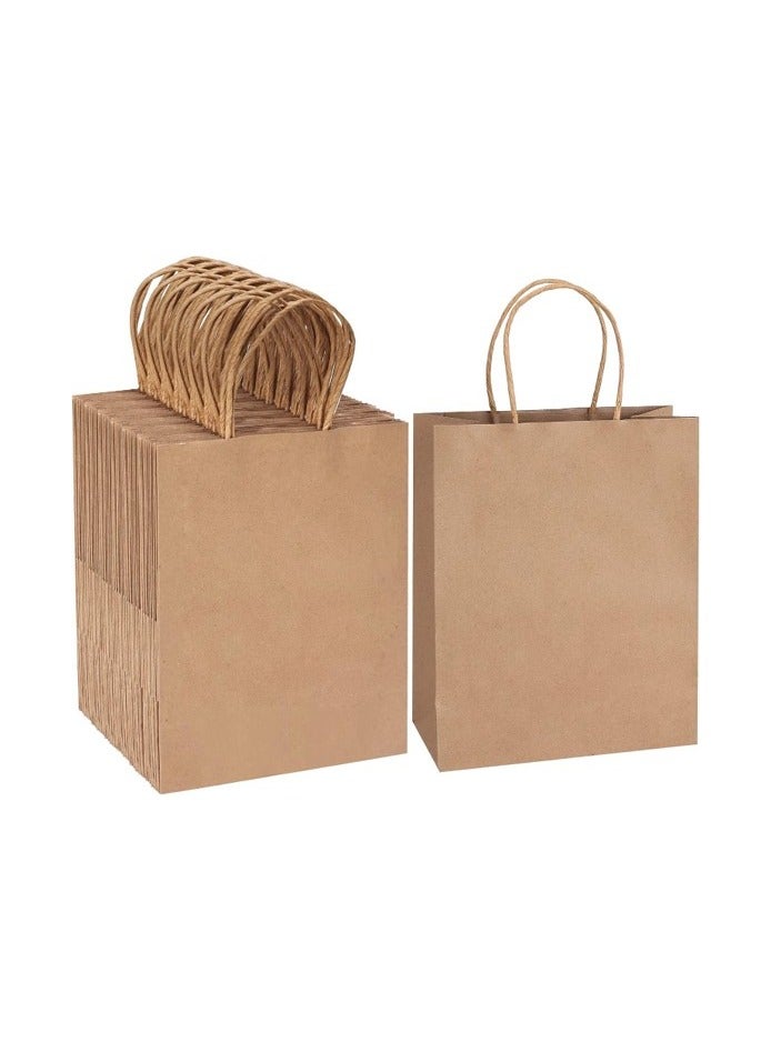 10 pcs Kraft Paper Bag - Brown (Large) -18cm 