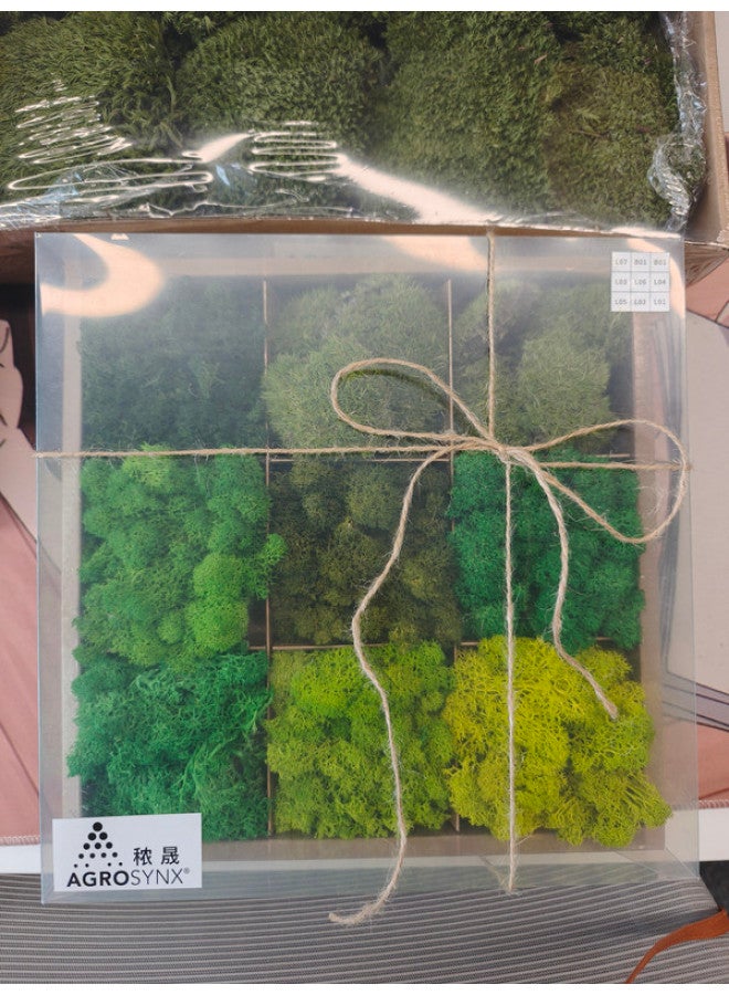 RYK Natural Preserved Moss Box, Mixed Reindeer Craft Moss, Home Office Art Decoration - Image 5