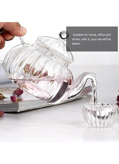 MN Heat Resistant Wavy Glass Teapot with Borosilicate Glass Infuser and Lid | Borosilicate Glass Teapot (800ml) - pzsku/ZDD9F8866375B6CE83DF1Z/45/_/1739867441/0a147ba0-99c3-461e-b789-2cff7cd85046