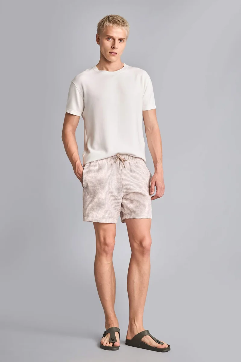 Striped Short Swim Shorts