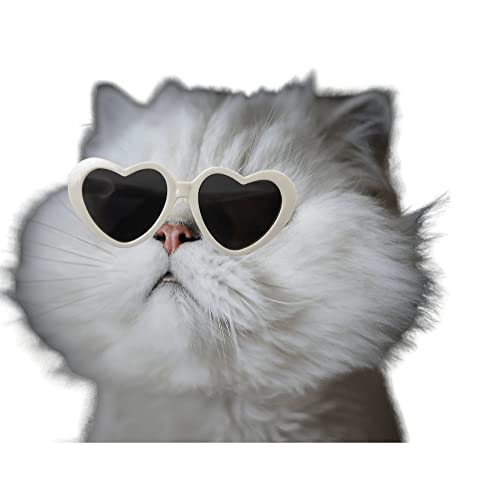 rejopfad Pet Cat Dog Doll Sunglasses, Kitty Funny Props Eyeglasses, Cosplay Photography Props Cute Sunglasses 2PCs Pink and White - Image 2