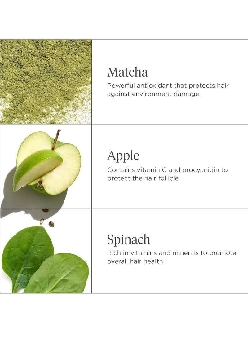 Briogeo Superfoods Matcha and Apple Replenishing Shampoo Supports Healthy Balanced Hair and Scalp Vegan Phalate and Paraben Free  369ml - Image 4