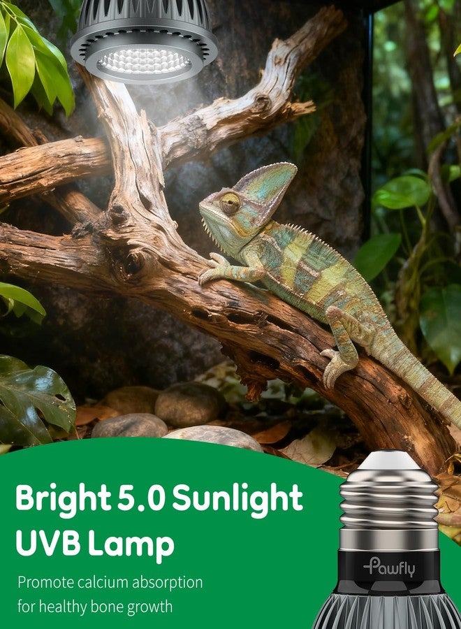 باوفلي مصباح باوفلاي للأشعة فوق البنفسجية للزواحف، لمبة 3 واط 5.0 للأشعة فوق البنفسجية، مصباح UVA للأشعة فوق البنفسجية للزواحف الاستوائية لتكوين الكالسيوم وفيتامين د3، مصباح LED عالي الكثافة للسلاحف والسحالي والسلاحف ذات الأقدام الحمراء - Image 2