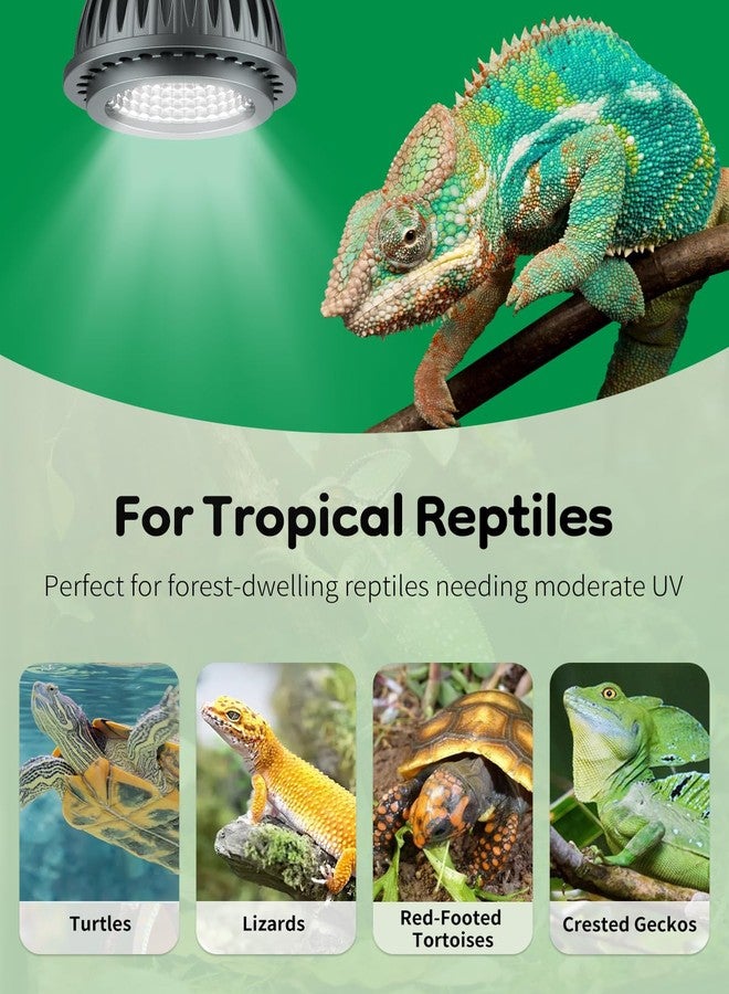 باوفلي مصباح باوفلاي للأشعة فوق البنفسجية للزواحف، لمبة 3 واط 5.0 للأشعة فوق البنفسجية، مصباح UVA للأشعة فوق البنفسجية للزواحف الاستوائية لتكوين الكالسيوم وفيتامين د3، مصباح LED عالي الكثافة للسلاحف والسحالي والسلاحف ذات الأقدام الحمراء - Image 4