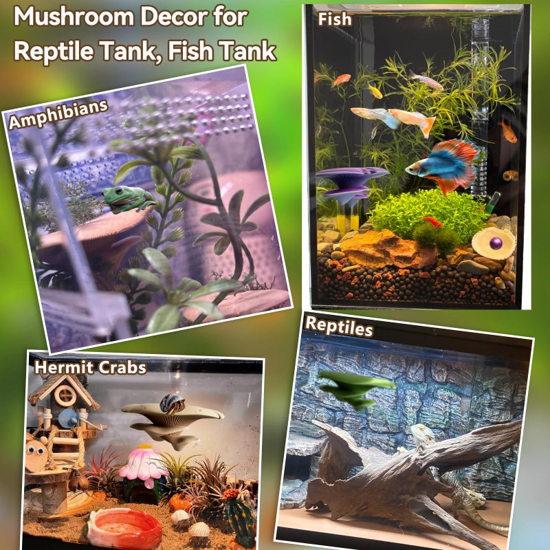 Okueejur Mushroom Terrarium Decor & Climbing Hold Kit,with 12 Rock Holds, Suction Cups & Adhesive Dots for Geckos, Frogs, Small Lizards & Snakes in Dry/Semi-Moist Habitats (Desert Beige) - Image 3
