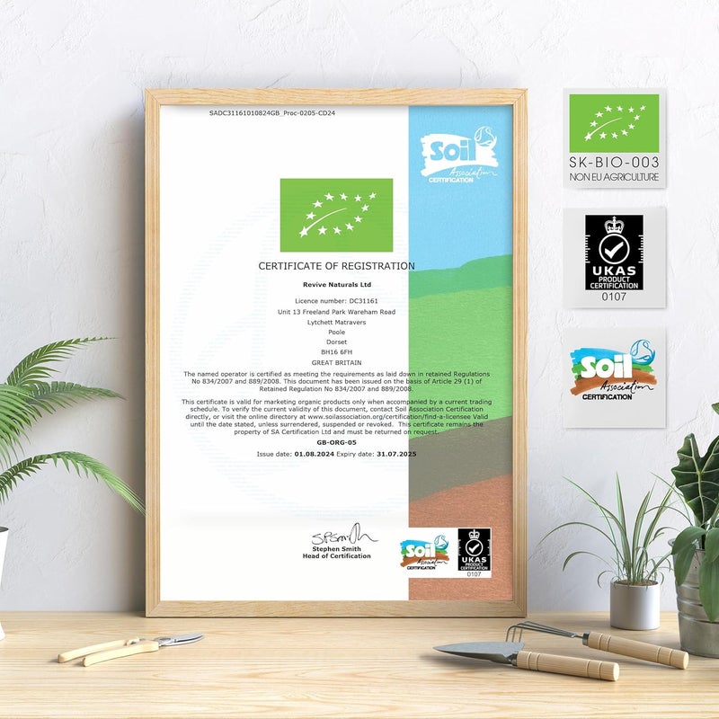 ALPHA01 Organic Matcha Green Tea Extract 1360mg 180 Vegan Capsules Boosted with Turmeric Acerola Black Pepper Resealable and Recyclable Pouch by Alpha01 - Image 5