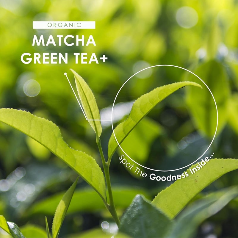 ALPHA01 Organic Matcha Green Tea Extract 1360mg 180 Vegan Capsules Boosted with Turmeric Acerola Black Pepper Resealable and Recyclable Pouch by Alpha01 - Image 4