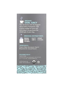 Equal Exchange Equal Exchange, Organic Earl Grey, Black Tea, 20 Tea Bags, 1.41 oz (40 g)  - Image 2