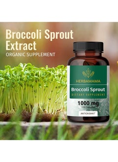 HERBAMAMA Broccoli Sprouts, 1000mg, 100 Capsules  - Image 5