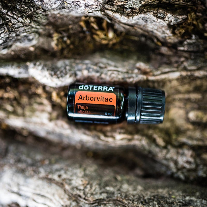 doTERRA - Arborvitae Essential Oil - 5mL - Image 5